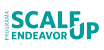 Scale Up Endeavor